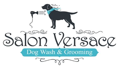 versace pet grooming